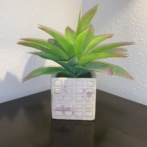Faux succulent plant in stone square vase